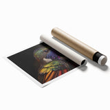 Vibrant rolled print showcasing a colorful hummingbird design in a natural setting, perfect for enhancing home decor with a touch of wildlife artistry.