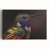 Vibrant hummingbird wall art collection on stretched canvas, showcasing colorful birds in a natural setting, perfect for home decor enthusiasts.