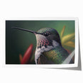 Colorful hummingbird wall art print showcasing intricate designs and vibrant colors, rolled for easy shipping, ideal for home decor and nature enthusiasts.