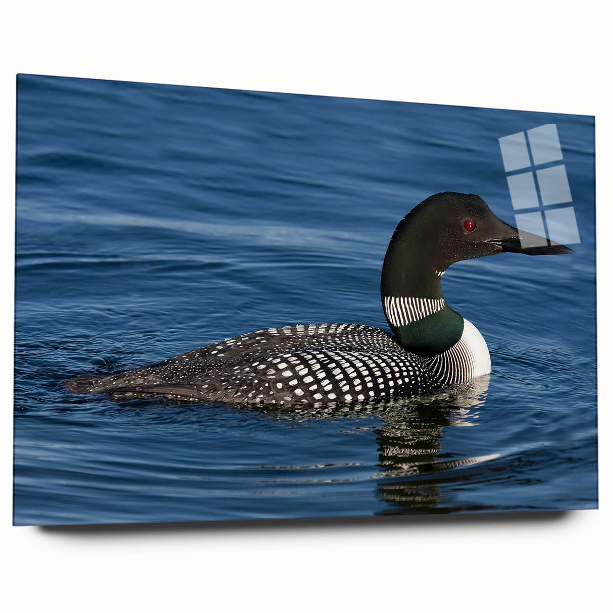 Side view of a modern acrylic glass wall art featuring a serene loon design, showcasing vibrant colors and sleek edges, perfect for contemporary decor.