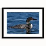 Black-framed wall art displaying a serene loon design, featuring soft colors and intricate details, ideal for enhancing modern home decor.