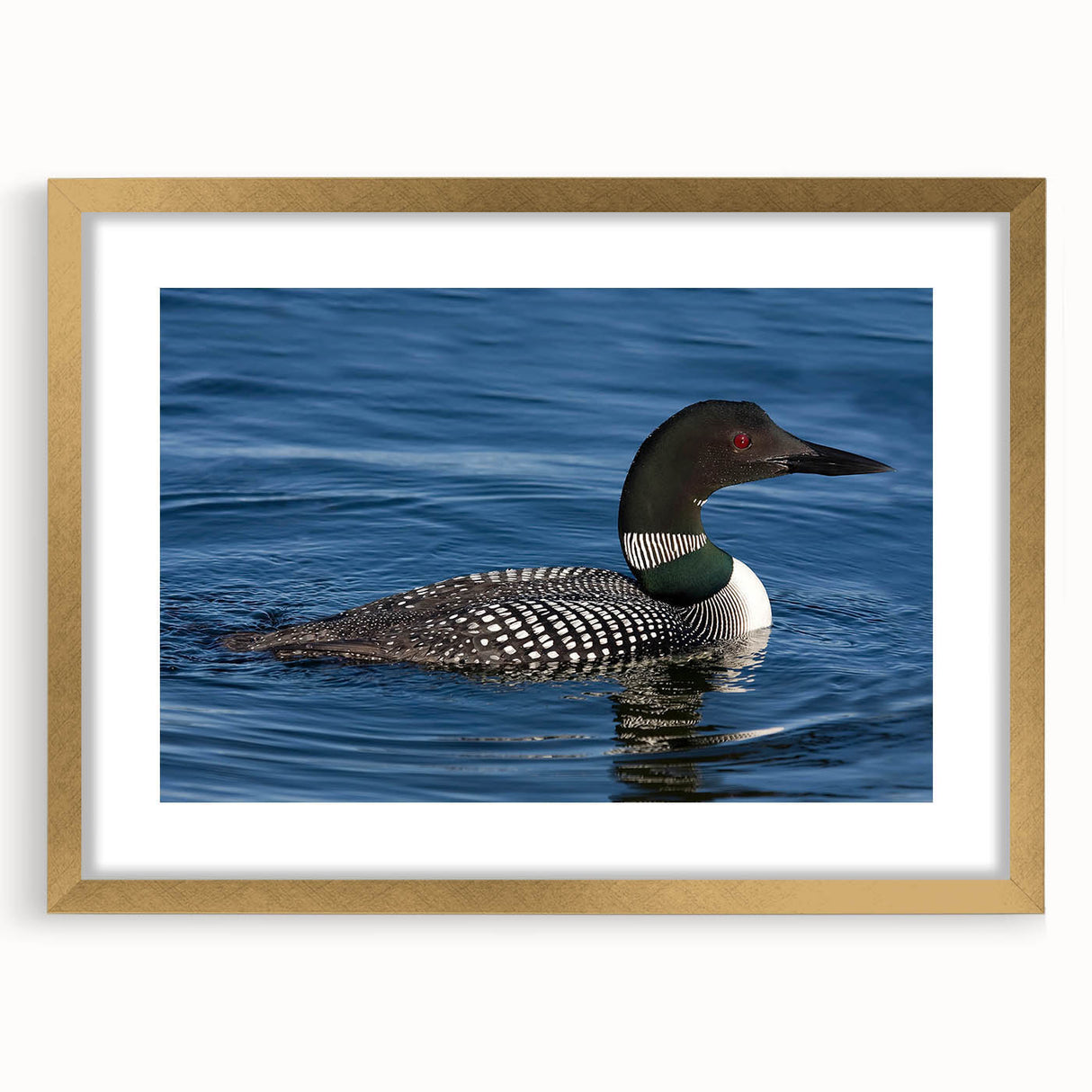 Framed wall art featuring a serene loon design, accented with a gold frame and mat, perfect for enhancing modern home decor. This piece adds a touch of nature elegance to any room.