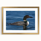 Framed wall art featuring a serene loon design, accented with a gold frame and mat, perfect for enhancing modern home decor. This piece adds a touch of nature elegance to any room.