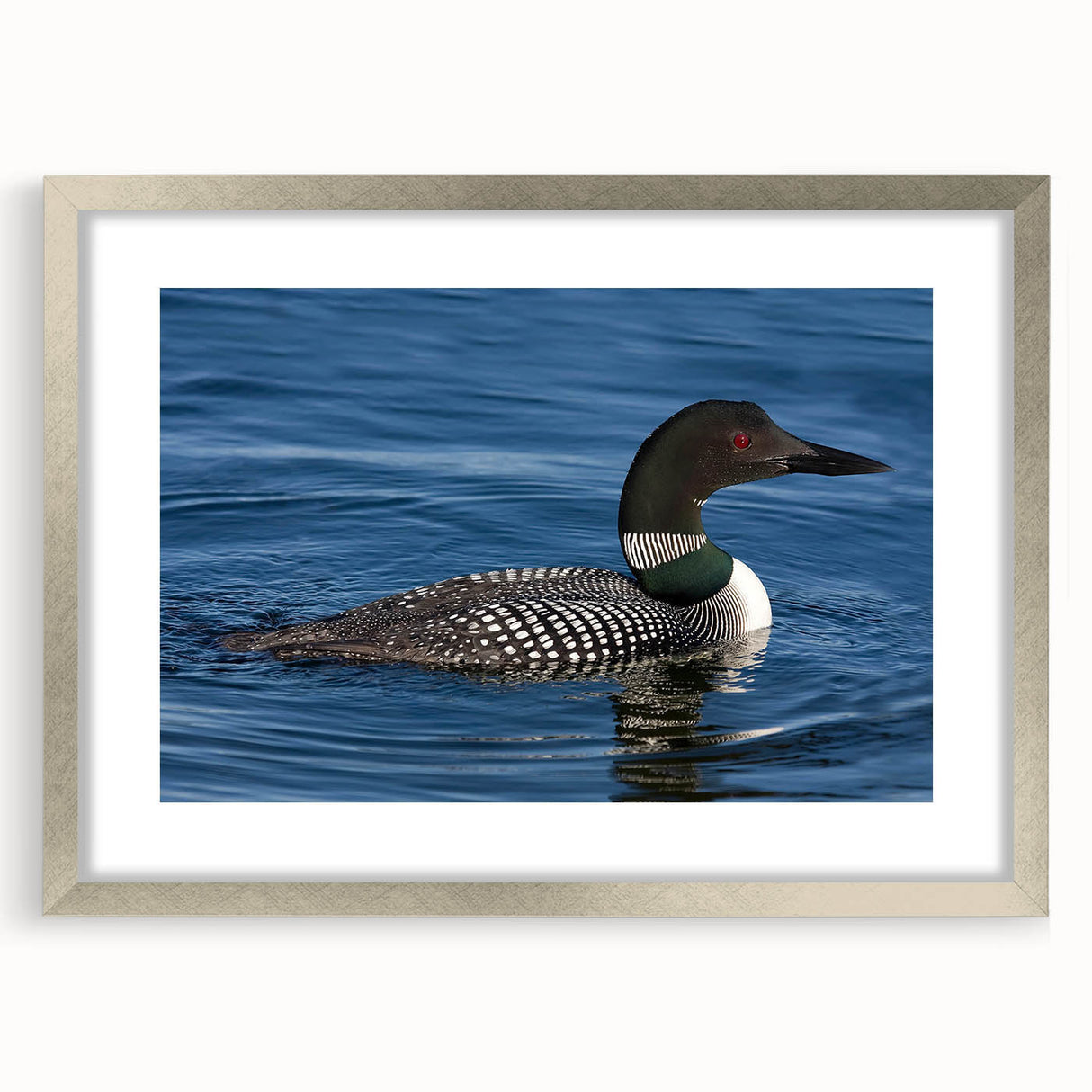 Loon-themed wall art piece in a sleek silver frame, showcasing vibrant colors and intricate details against a soft mat, perfect for modern decor.
