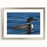 Loon-themed wall art piece in a sleek silver frame, showcasing vibrant colors and intricate details against a soft mat, perfect for modern decor.