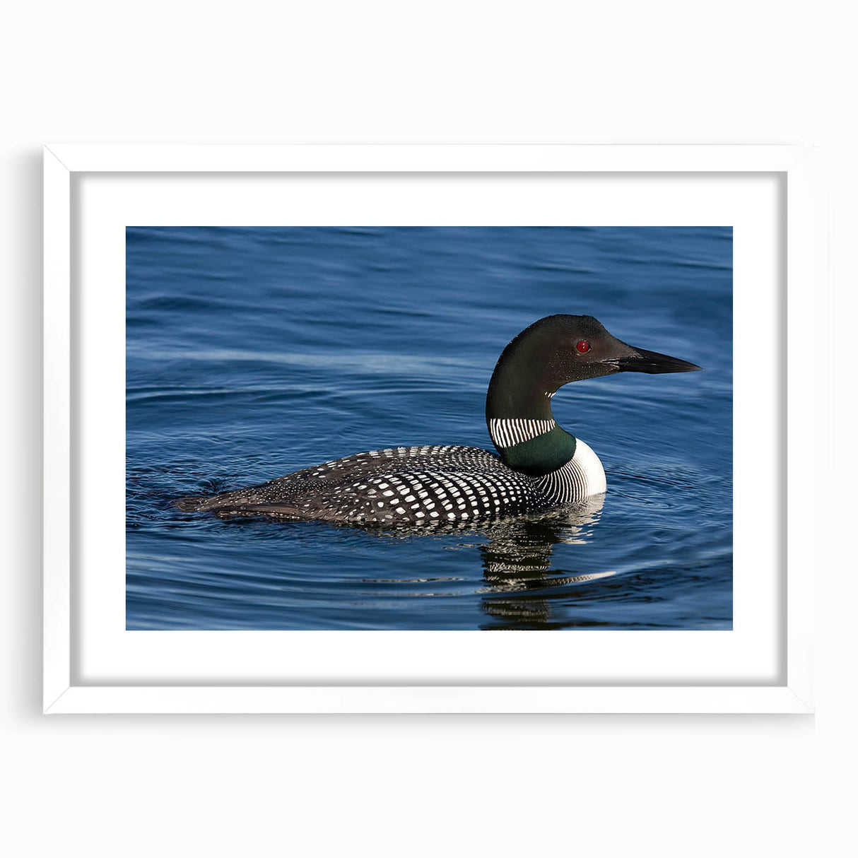 Framed wall art featuring a serene loon design in a natural setting, with a white mat and contemporary frame, perfect for modern home decor.