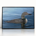 Framed acrylic wall art featuring a serene loon design, showcased in a sleek black frame from the collection, perfect for enhancing home decor and nature-themed interiors.