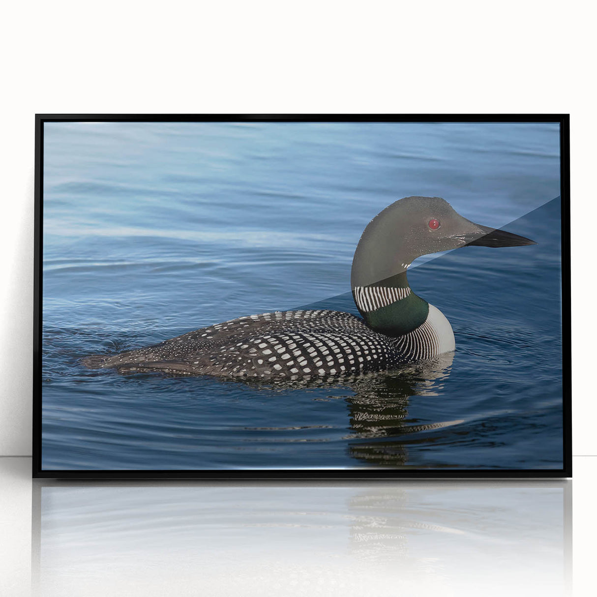 Framed acrylic wall art featuring a serene loon design, showcased in a sleek black frame from the collection, perfect for enhancing home decor and nature-themed interiors.