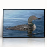 Framed acrylic wall art featuring a serene loon design, showcased in a sleek black frame from the collection, perfect for enhancing home decor and nature-themed interiors.