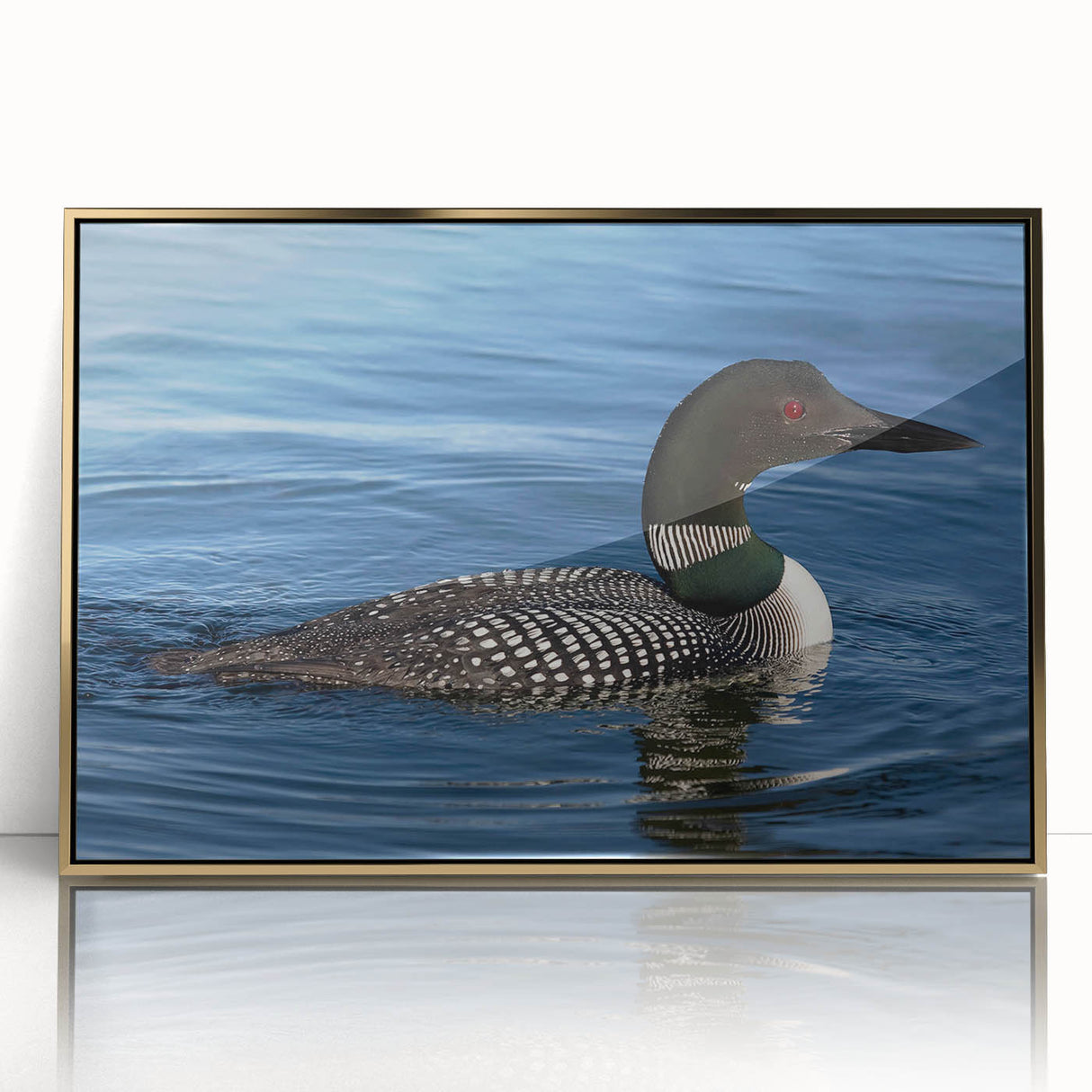 Framed wall art featuring a stunning acrylic design of a loon, showcasing rich colors and intricate details. Ideal for nature lovers, adding elegance to any decor.