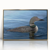 Framed wall art featuring a stunning acrylic design of a loon, showcasing rich colors and intricate details. Ideal for nature lovers, adding elegance to any decor.