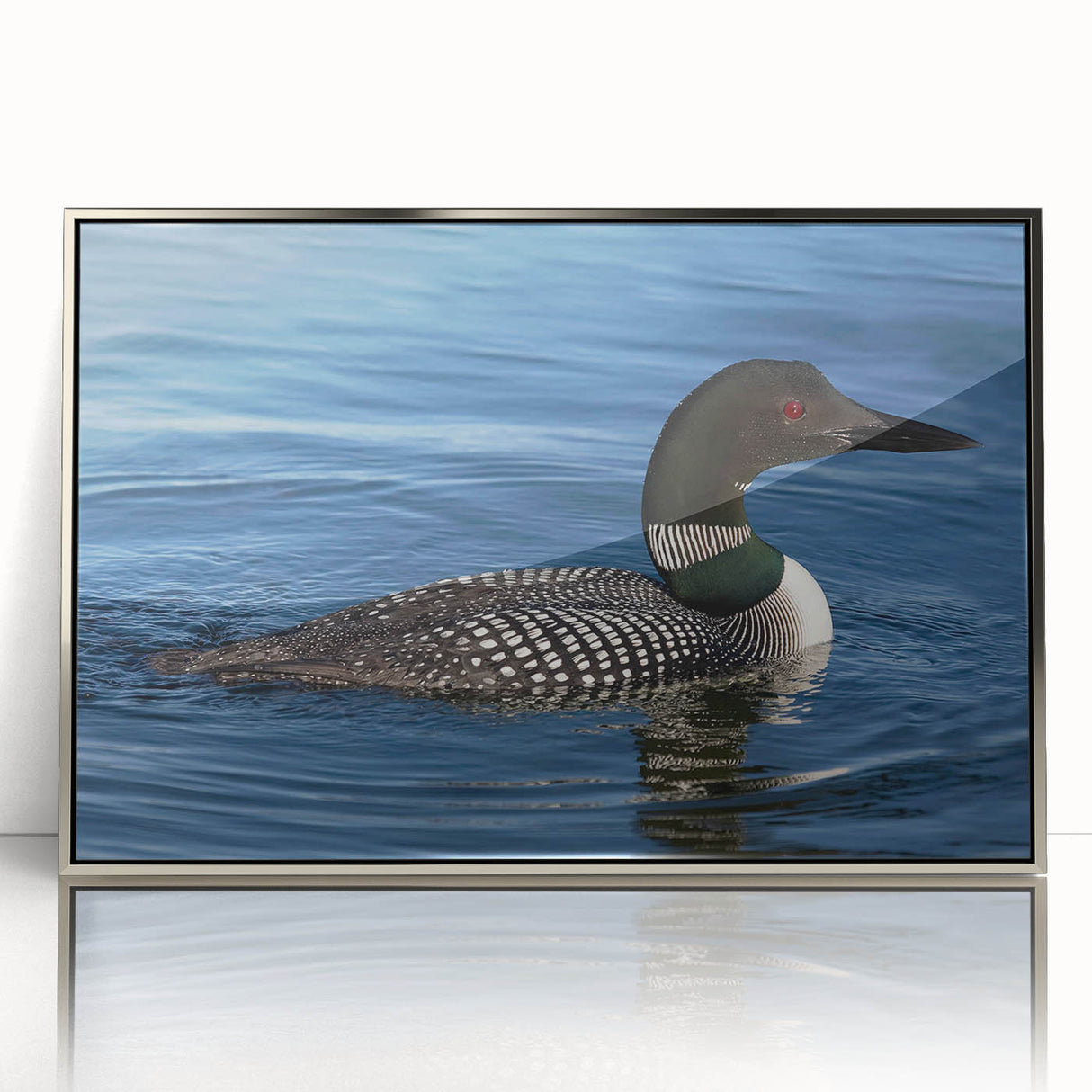 Framed wall art featuring a serene loon design in vibrant colors, set in a sleek silver frame, perfect for enhancing modern home decor and nature-themed interiors.