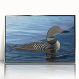 Framed wall art featuring a serene loon design in vibrant colors, set in a sleek silver frame, perfect for enhancing modern home decor and nature-themed interiors.