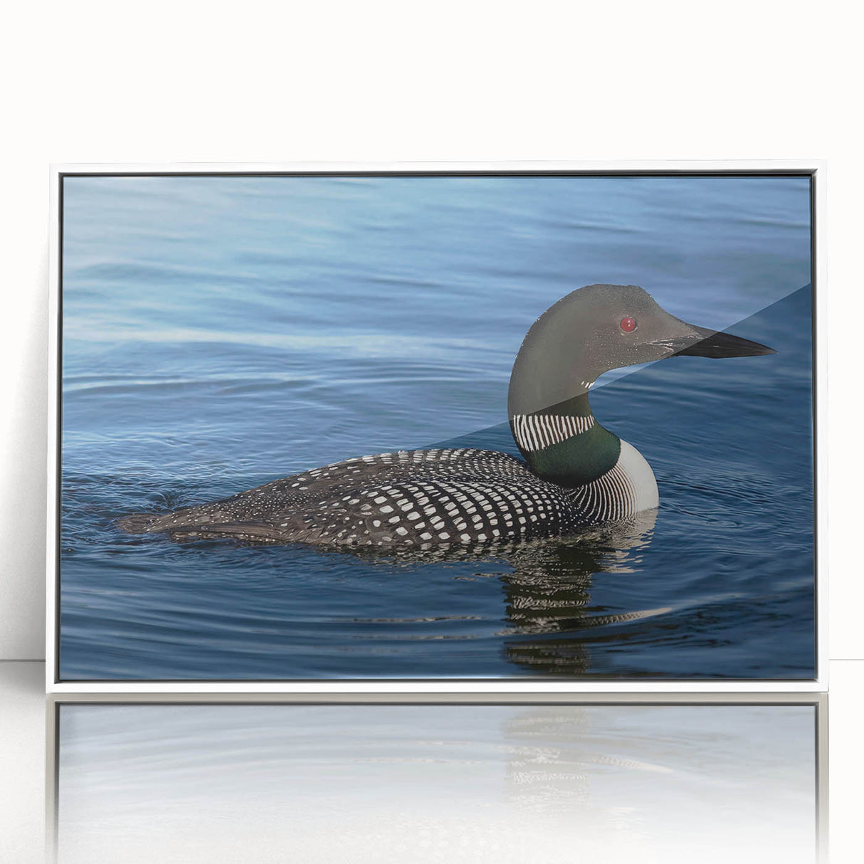 Framed acrylic wall art featuring a serene loon design, showcasing vibrant colors and intricate details, ideal for enhancing modern home decor.