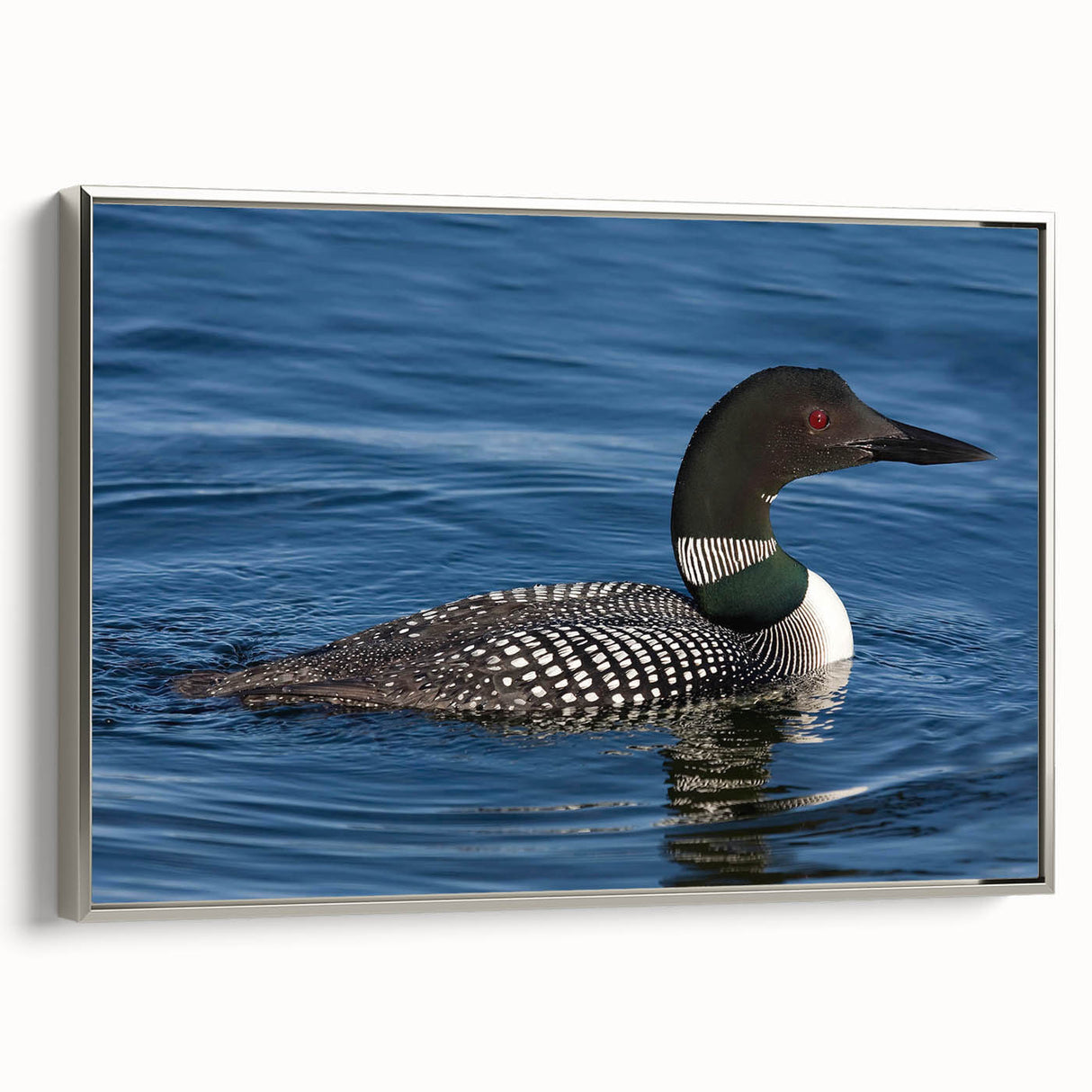 Framed canvas wall art showcasing a serene loon design in silver, set against a tranquil background. Ideal for nature enthusiasts and home decor lovers.