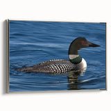 Framed canvas wall art showcasing a serene loon design in silver, set against a tranquil background. Ideal for nature enthusiasts and home decor lovers.