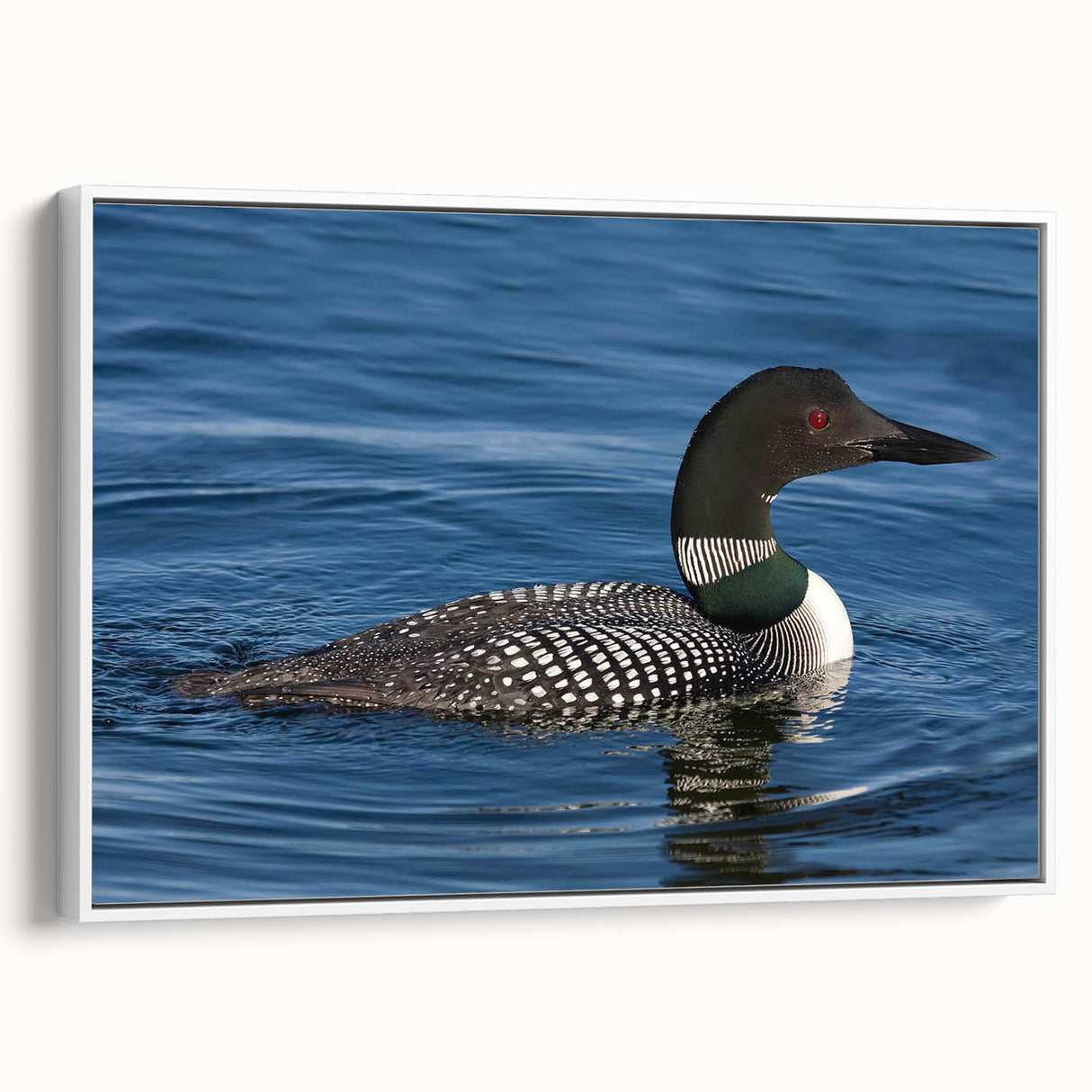 Framed wall art featuring a serene loon design on a white canvas, showcasing vibrant colors and intricate details, perfect for enhancing home decor aesthetics.