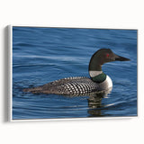 Framed wall art featuring a serene loon design on a white canvas, showcasing vibrant colors and intricate details, perfect for enhancing home decor aesthetics.