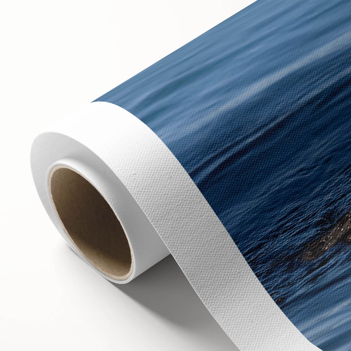 Vibrant rolled canvas showcasing a serene loon design in a tranquil lake setting, ideal for nature-themed decor, elegantly packaged in a protective tube.