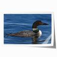 Loon wall art print showcasing a serene lake scene with vibrant colors and intricate details, ideal for nature lovers and home decor enthusiasts.