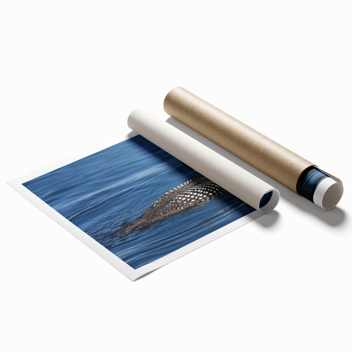 Loon design wall art print showcasing vibrant blue and green colors, rolled and ready for framing, perfect for nature-inspired home decor.