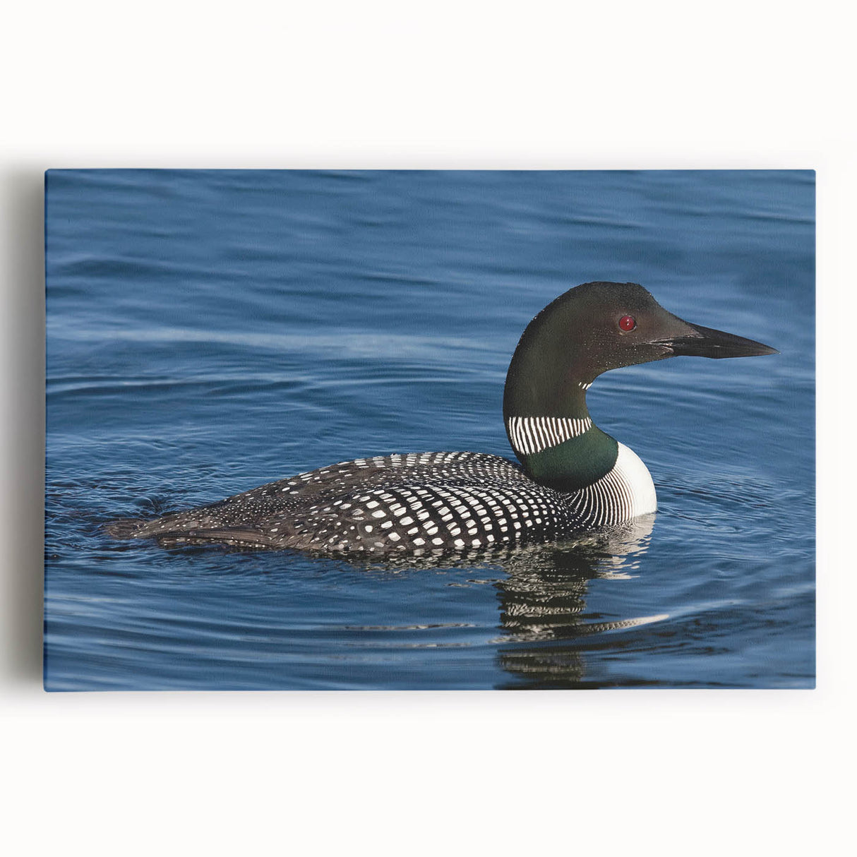Loon design wall art collection featuring a vibrant, colorful depiction of birds on a stretched canvas, ideal for enhancing modern home décor.