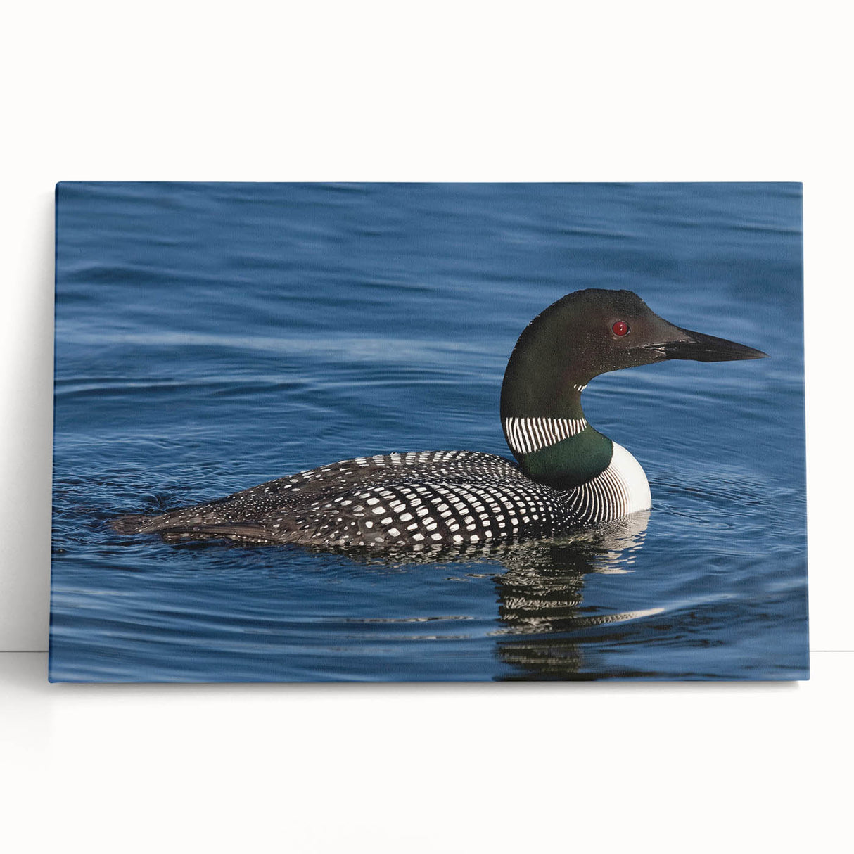 Vibrant stretched canvas wall art featuring a minimalist loon design in soft blues and earth tones, perfect for enhancing modern home decor and nature-themed interiors.