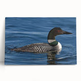 Vibrant stretched canvas wall art featuring a minimalist loon design in soft blues and earth tones, perfect for enhancing modern home decor and nature-themed interiors.