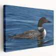 Stretched canvas wall art featuring a serene loon design, showcasing vibrant colors and intricate details, ideal for enhancing home decor or nature-themed spaces.