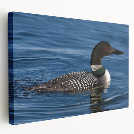 Stretched canvas wall art featuring a serene loon design, showcasing vibrant colors and intricate details, ideal for enhancing home decor or nature-themed spaces.