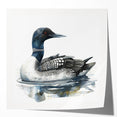 Loon-themed wall art collection featuring vibrant colors and intricate designs, perfect for nature lovers, displayed in a glossy print mockup set. Ideal for home decor.