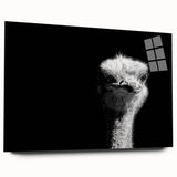 Acrylic wall art featuring a side view of colorful ostriches in a vibrant desert landscape, ideal for home decor enthusiasts seeking unique animal-themed artwork.