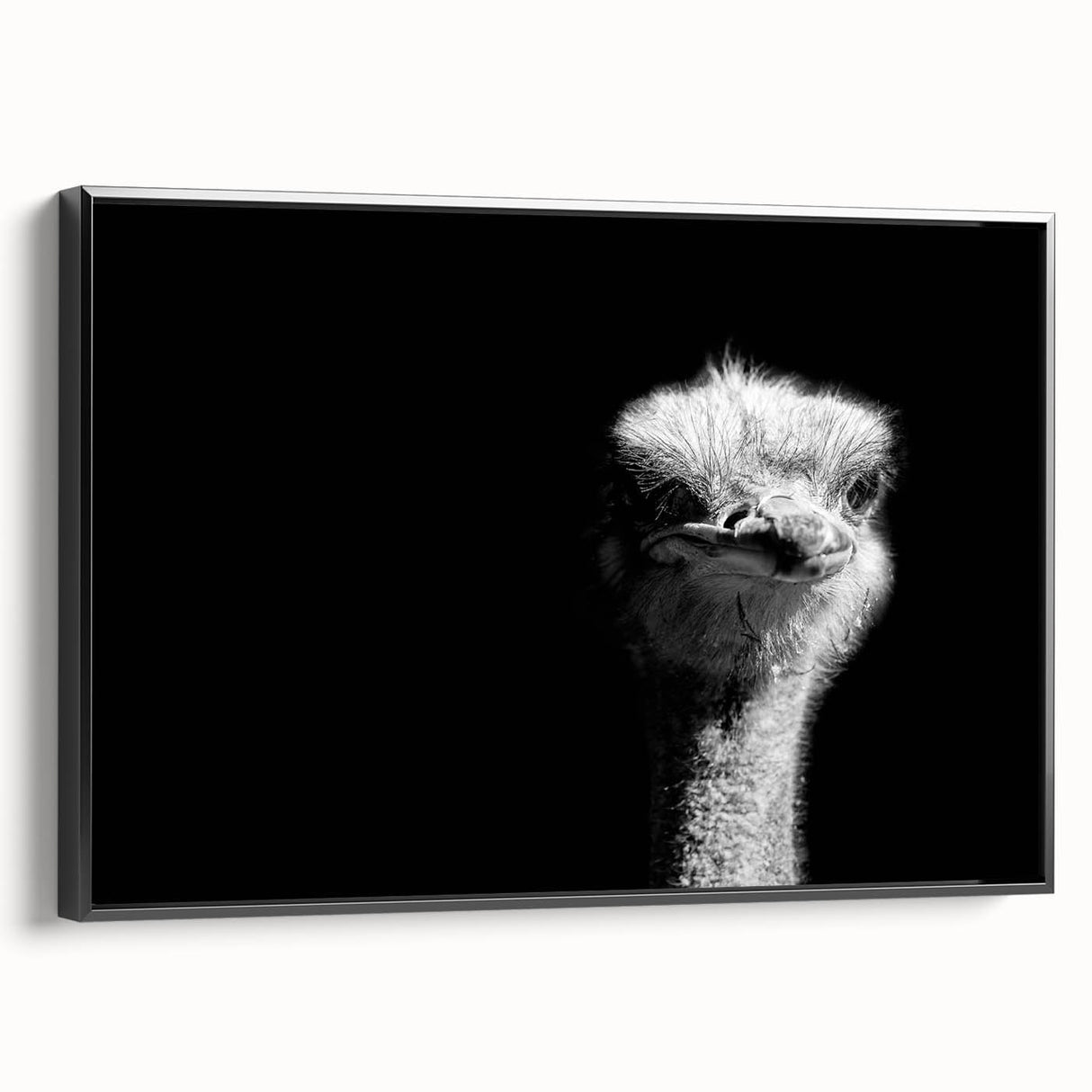 Framed wall art featuring a detailed ostrich design on a black background, showcasing vibrant colors and intricate patterns, ideal for modern home decor.