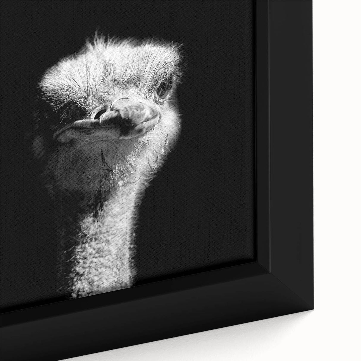 Close-up of a framed canvas wall art piece depicting an elegant ostrich design, showcasing intricate details and vibrant colors, ideal for modern decor.
