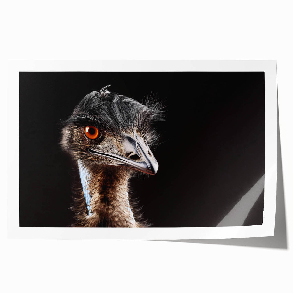 Colorful ostrich-themed wall art print showcasing intricate design details, rolled for easy transport. Ideal for enhancing home decor with a vibrant, exotic touch.