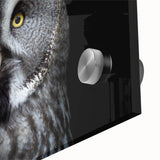 Close-up of a stunning owl design wall art piece, featuring vibrant colors and intricate details, printed on acrylic glass, perfect for modern home decor.