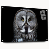 Acrylic glass wall art featuring a whimsical owl design, showcasing vibrant colors and intricate details, mounted on a stylish frame with pins for easy display.