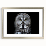 Framed wall art featuring a detailed owl design in silver frame with matting, ideal for adding a touch of nature-inspired decor to any interior space.