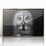 Framed acrylic wall art showcasing an elegant owl design, featuring gold accents and a contemporary style, perfect for modern home decor.