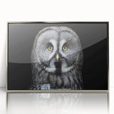 Framed wall art featuring a detailed owl design in a silver acrylic frame, showcasing intricate textures and vibrant colors, perfect for nature-themed decor.