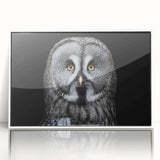 Framed acrylic wall art featuring a detailed owl design, set against a white background, ideal for modern home decor and wildlife enthusiasts. Perfect for adding a touch of nature-inspired elegance to any room.