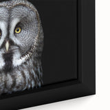 Close-up of a framed canvas wall art featuring a colorful owl design, showcasing intricate details and vibrant hues, ideal for nature-themed decor.
