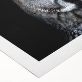 Owl-themed wall art design on rolled canvas, showcasing intricate details and vibrant colors, ideal for modern home decor and nature enthusiasts.