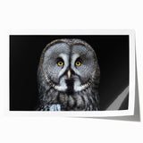 Owl-themed wall art print featuring intricate designs and vibrant colors, rolled and ready for framing, perfect for nature-inspired decor lovers.