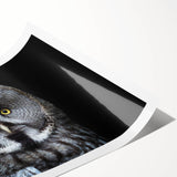 Owl design wall art print featuring intricate patterns and vibrant colors, rolled and ready for display, perfect for adding a whimsical touch to home decor.