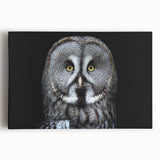 Stretched canvas wall art featuring an owl design, showcasing intricate details and vibrant colors, perfect for nature-themed decor in living spaces or children's rooms.