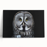 Stretched canvas wall art showcasing a vibrant owl design, featuring rich colors and intricate details, perfect for enhancing home decor in a cozy setting.