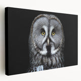 Owl-themed wall art on stretched canvas showcasing intricate designs and vibrant colors, ideal for enhancing home decor with a touch of nature-inspired elegance.