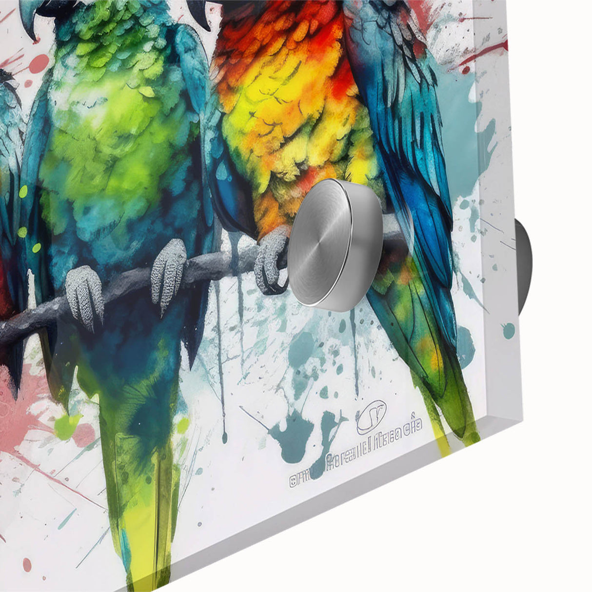 Close-up of a vibrant acrylic glass wall art featuring a colorful parrot design, showcasing intricate details and rich hues, perfect for home decor.