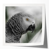 Colorful wall art featuring a vibrant design of various parrot species perched among tropical foliage. Ideal for adding a lively touch to home decor or office spaces.